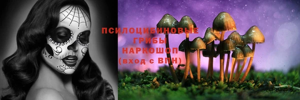 ECSTASY Алексин