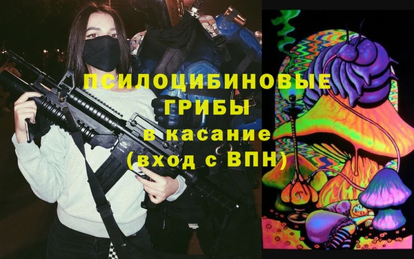 сатива Алексеевка