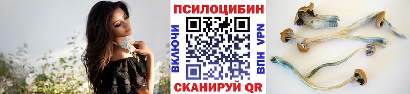 OMG маркетплейс  Волжский  Псилоцибиновые грибы ЛСД 