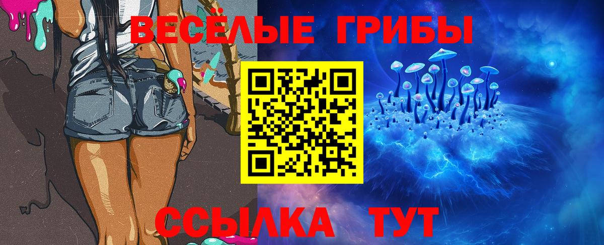 Волжский  Галлюциногенные грибы ЛСД  Вход с VPN  Псилоцибиновые грибы мицелий 